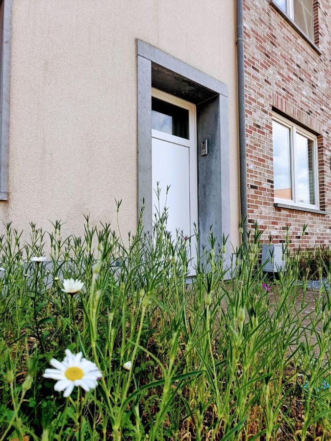 Casa Roman Zonhoven Exteriör bild